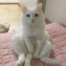 쓰담쓰담