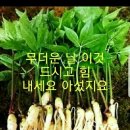 길안당구장 이미지