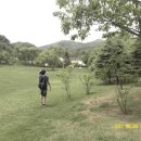 뒤밭