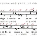 (환희의신비 1단) Ecce virgo concipiet - 그미12 이미지