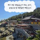 해동용궁사진입로입구 | 부산 기장 해동용궁사 위치, 주차, 관람수칙 및 애견동반 여행 후기