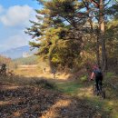 예향천리마실길 6코스 방장산길 이미지