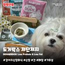 저단15 | 강아지신장화식 도거박스 | 저단저지 샘플팩 신장·간·췌장 케어 노견 기호성 솔직리뷰
