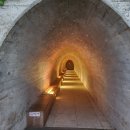 삼척골뱅이131 | 5월 폭우 속 동해 2박3일 효도여행