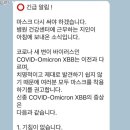 변이(미디어) 이미지