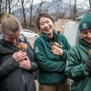 안고농장 이미지