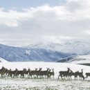 경희허브한의원 이미지