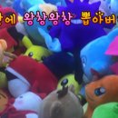 인형뽑기대왕 이미지