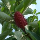 영지농장 이미지