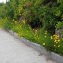 종점할인마트 이미지