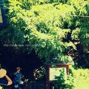 수곡파출소 이미지