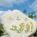 엠스클럽의성 이미지