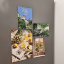 스테이티모가 이미지