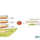 공부가양