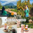 만땅PC카페 서귀포점 | 제주 서귀포 가볼만한곳 산방산뷰 마노르블랑 카페 감귤체험 추천