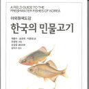 고기도감 이미지