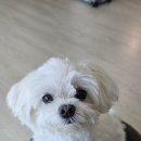 행복만들기 이미지