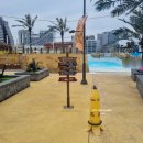 웨이브파크 이미지