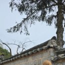 부소산성 낙화암 갈림길 이미지