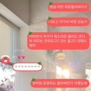 아침을여는세명약국 | ☁︎︎*. 겨울 나기를 위해 도토리 모으는 다람쥐 마냥