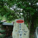 숲속의맑은향기 이미지