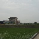 피터펜 농장