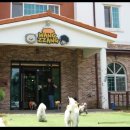 왕짱 애견스쿨 | [롯데시네마 스크린광고] 구미센트럴 롯데시네마 '구미 왕짱애견스쿨' 스크린 광고 사례