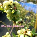 김금순농장 이미지