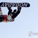 PARROT KOREA 이미지