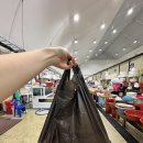 제철전기 | 서천 수산시장 제철 오징어회 서천특화시장 회포장 맛집 내돈내산