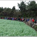 제주 올레길 12코스 이미지