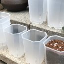 플라스틱가드너 이미지