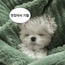 농성 | [광주맛집] 농성동 웨이팅 맛집 「루키초밥 농성점」 본점 내돈내산 후기✨