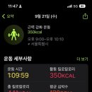 아이언짐1관 네이버블로그