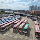 조례세차 이미지