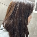 킨텍스미용실 아이디헤어 원마운트점 덕호실장님 빌드펌 대만족