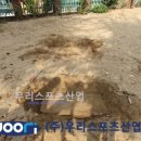 양화초등학교 이미지