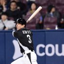 안타코리아 이미지