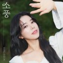 양지은 카카오 검색결과