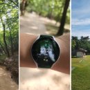 태강릉 입구 이미지