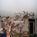 온더비치 이미지