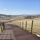 효재목장 | [ 충청남도 가볼만한곳 ] 서산 웰빙산책로 서산한우목장 아이와가볼만한곳