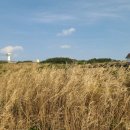 동화 태양광발전소 이미지