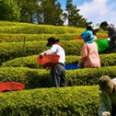 하나둘셋영농조합법인 이미지