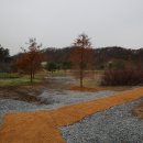 금강생태마당 이미지