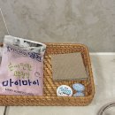 여수독채 풀빌라 백야코지 | 여수 독채풀빌라펜션 백야도 백야코지 가족여행 여름휴가