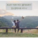 동고동락 대구결혼 정보회사 이미지