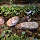 바르미샤브샤브칼국수 이미지