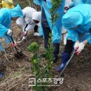 건강나라헬스 이미지