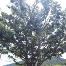 금평마을회관 이미지